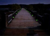 �ʐ^�������I