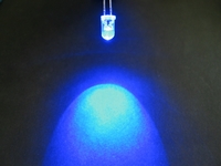 �ʐ^�������I